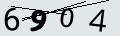 verifycode